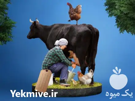 قیمت خرید مستقیم دی کلسیم فسفات در نجف آباد در گروه خوراک دام و طیور در یکمیوه -عکس1