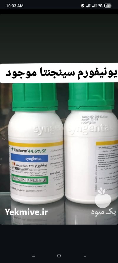 سم قارچ کش یونیفرم در ری  در گروه خرید و فروش انواع سم در یکمیوه -عکس1