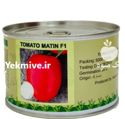 بذر گوجه فرنگی متین در شیراز در گروه خرید و فروش بذر گوجه در یکمیوه -عکس1