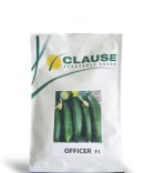 فروش ویژه بذر خیار افیسر در کازرون در گروه خرید و فروش بذر خیار در یکمیوه