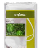 بذر هندوانه باراکا در مركزی در گروه خرید و فروش بذر هندوانه در یکمیوه