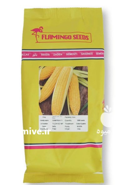 بذر ذرت شیرین سمیرا در کازرون در گروه خرید و فروش بذر ذرت در یکمیوه -عکس1