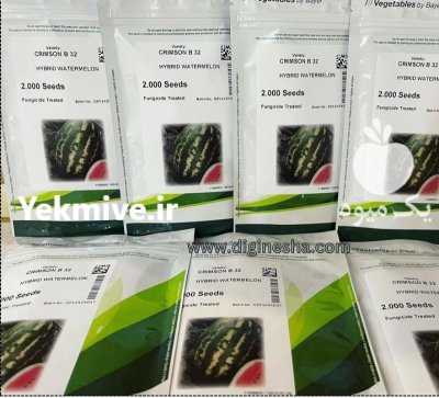 بذر هندوانه بیضی بی 32 در کرمان  در گروه خرید و فروش بذر هندوانه در یکمیوه -عکس1