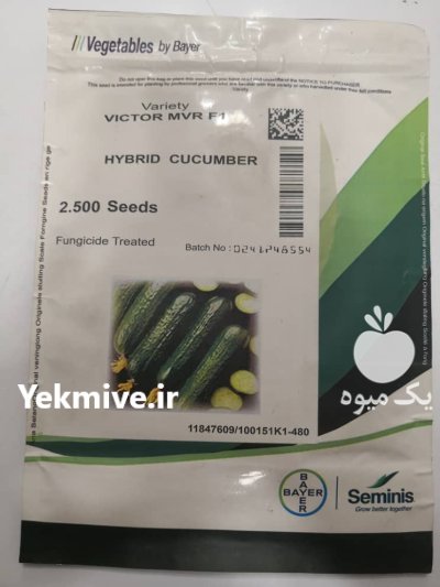 بذر خیار ویکتور در پردیس در گروه خرید و فروش بذر خیار در یکمیوه -عکس1