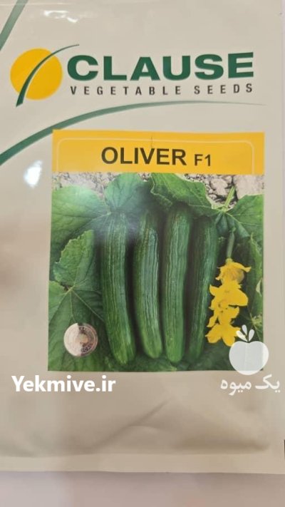 بذر خیار الیور در اسلامشهر در گروه خرید و فروش بذر خیار در یکمیوه -عکس1