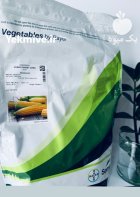 بذر ذرت مسنجر در شیراز در گروه خرید و فروش بذر ذرت در یکمیوه