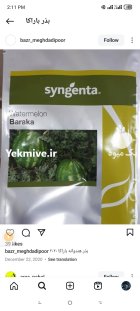 بذر هندوانه باراکا در دهدشت در گروه خرید و فروش بذر هندوانه در یکمیوه