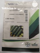 بذر خیار ویکتور در پردیس در گروه خرید و فروش بذر خیار در یکمیوه