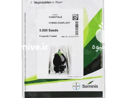 بذر بادمجان شانتال در دزفول در گروه خرید و فروش بذر بادمجان در یکمیوه -عکس1