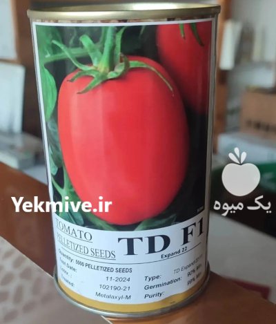 بذر گوجه فرنگی تی دی TD در بیضا در گروه خرید و فروش بذر گوجه در یکمیوه -عکس1
