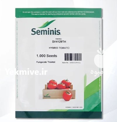 بذر گوجه فرنگی 4129 در شیراز در گروه خرید و فروش بذر گوجه در یکمیوه -عکس1