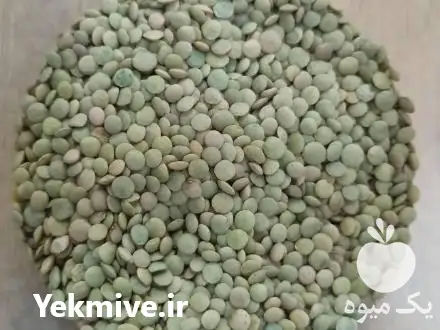 قیمت خرید عدس لوبیا لپه در تهران در گروه خرید و فروش غلات و حبوبات در یکمیوه -عکس1