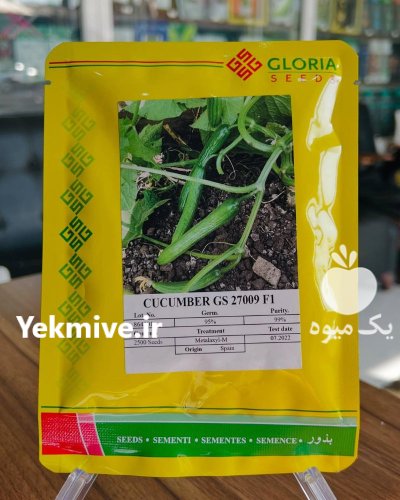 بذر خیار گلوریا در ابوموسی در گروه خرید و فروش بذر خیار در یکمیوه -عکس1