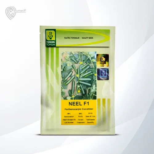 بذر خیار نیل در آسمان آباد در گروه خرید و فروش بذر خیار در یکمیوه -عکس1