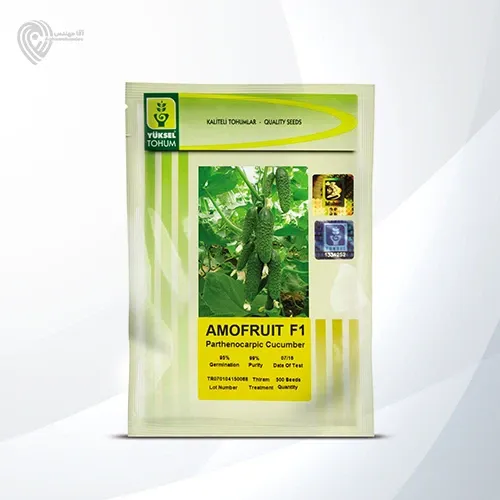 بذر خیار آموفروت در جلفا در گروه خرید و فروش بذر خیار در یکمیوه -عکس1