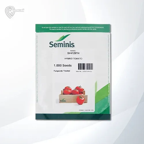 بذر گوجه 4129 در بادرود در گروه خرید و فروش بذر گوجه در یکمیوه -عکس1