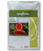 بذر هندوانه استاراخان در دوگنبدان در گروه خرید و فروش بذر هندوانه در یکمیوه