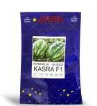 بذر هندوانه کسری در دهدشت در گروه خرید و فروش بذر هندوانه در یکمیوه