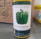 بذر فلفل دلمه ایندام بهارات در اهواز در گروه خرید و فروش بذر فلفل در یکمیوه