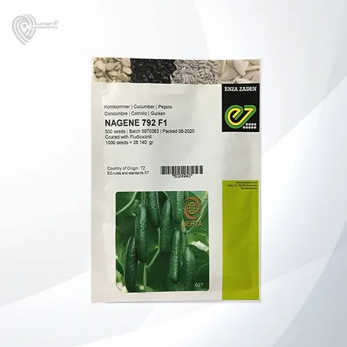 بذر خیار ناگین در جوکار در گروه خرید و فروش بذر خیار در یکمیوه