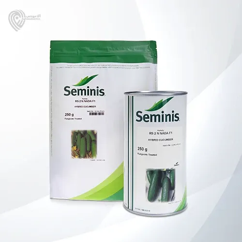 بذر خیار 2 ان نادا در جوکار در گروه خرید و فروش بذر خیار در یکمیوه