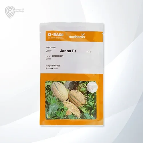 بذر خربزه جانا در مشهد در گروه خرید و فروش بذر خربزه در یکمیوه