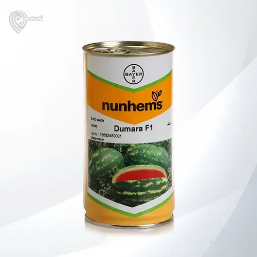 بذر هندوانه دومارا در دامغان در گروه خرید و فروش بذر هندوانه در یکمیوه