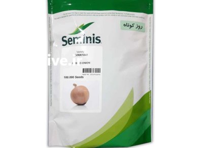 بذر پیاز روز کوتاه زرد 1049 در باغین در گروه خرید و فروش بذر پیاز در یکمیوه -عکس1