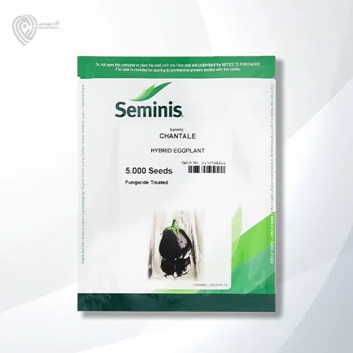 بذر بادمجان شانتال در اراک در گروه خرید و فروش بذر بادمجان در یکمیوه -عکس1