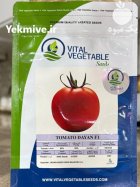 بذر گوجه دایان در شیراز در گروه خرید و فروش بذر گوجه در یکمیوه