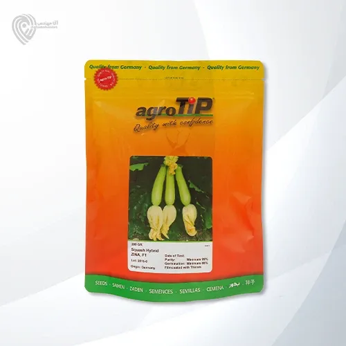 بذر کدو خورشتی زیما در برازجان در گروه خرید و فروش بذر کدو در یکمیوه