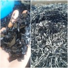 خرید فروش ضایعات نوارتیپ قطره ای در مشهد در گروه خرید و فروش نوار تیپ در یکمیوه