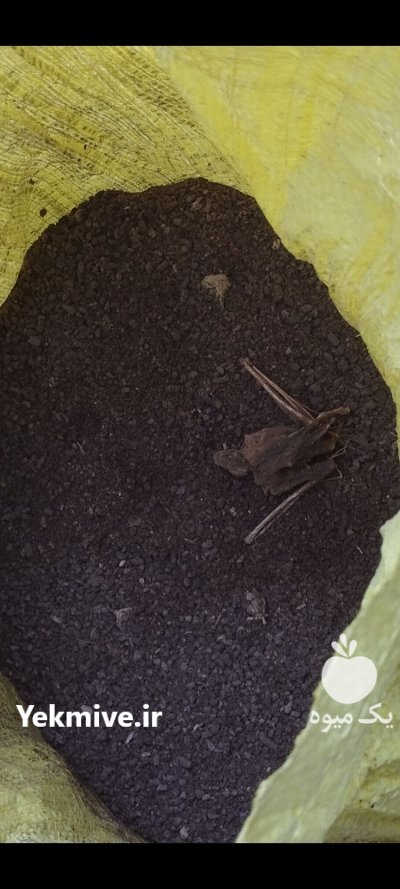 کود خفاش ارگانیک در کلاله در گلستان در گروه خرید و فروش کود خفاش در یکمیوه -عکس1