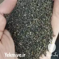 بذر مرزه با کیفیت عالی در تبریز در گروه خرید و فروش انواع بذر در یکمیوه
