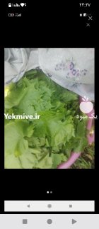 فروش برگ مو در اردکان در گروه خرید و فروش انگور در یکمیوه