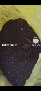 کود خفاش ارگانیک در کلاله در گلستان در گروه خرید و فروش کود خفاش در یکمیوه