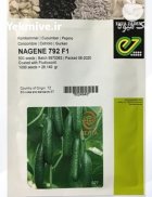 فروش بذر خیار گلخانه ای ناگین در گرگان در گروه خرید و فروش بذر خیار در یکمیوه