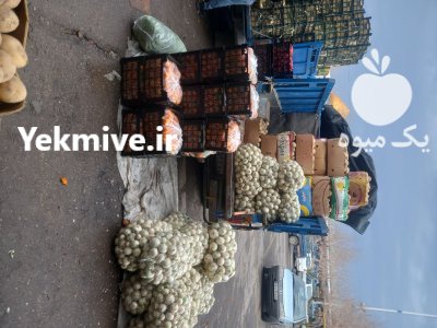 بارفروشی و حق العمل کاری شهربابکی در رفسنجان در گروه بارفروشی محصولات کشاورزی در یکمیوه -عکس2