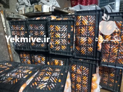 بارفروشی و حق العمل کاری شهربابکی در رفسنجان در گروه بارفروشی محصولات کشاورزی در یکمیوه -عکس3