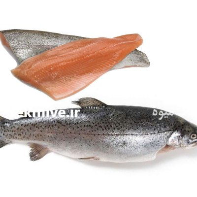 خریدار ضایعات مرغی در تهران در گروه مرغ و خروس و بوقلمون و اردک قو قاز در یکمیوه -عکس2