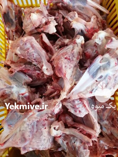 خریدار ضایعات مرغی در تهران در گروه مرغ و خروس و بوقلمون و اردک قو قاز در یکمیوه -عکس3
