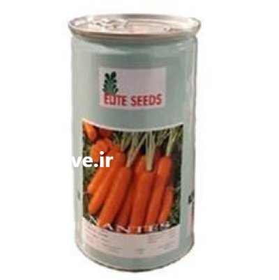 هویج الیت سیدز قیمت بذر در ایلخچی در گروه خرید و فروش بذر هویج در یکمیوه -عکس2