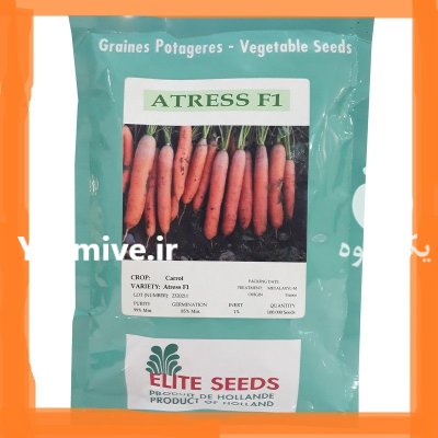 هویج الیت سیدز قیمت بذر در ایلخچی در گروه خرید و فروش بذر هویج در یکمیوه -عکس3
