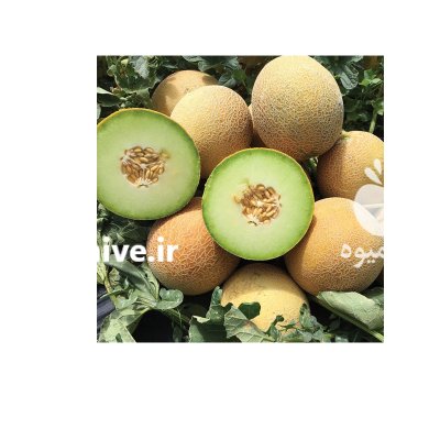 بذر خربزه داکو قیمت بذر داکو در طالقان  در گروه خرید و فروش بذر خربزه در یکمیوه -عکس2