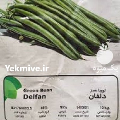 بذر لوبیا سبز دلفان قیمت بذر در سمنان در گروه خرید و فروش انواع بذر در یکمیوه -عکس2