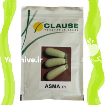 قیمت بذر کدو ورونیکا فروش فوری در هرمز در گروه خرید و فروش بذر کدو در یکمیوه -عکس1