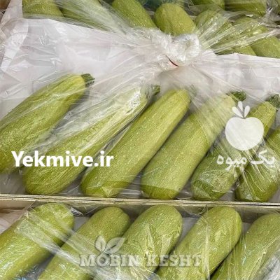 بذر کدو کاریتا سمینیس در بلده در گروه خرید و فروش بذر کدو در یکمیوه -عکس1