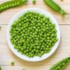 بذر نخود فرنگی سمینس بذر نخود در اراک در گروه خرید و فروش انواع بذر در یکمیوه