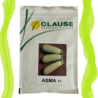 قیمت بذر کدو ورونیکا فروش فوری در هرمز در گروه خرید و فروش بذر کدو در یکمیوه