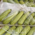 بذر کدو کاریتا سمینیس در بلده در گروه خرید و فروش بذر کدو در یکمیوه